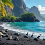 découvrez comment le voyage engagé contribue à la protection de la biodiversité unique des îles galapagos, en soutenant des initiatives durables et responsables.